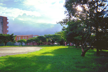 367-24.jpg