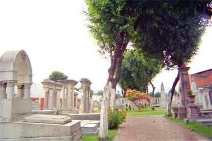 118-12.jpg