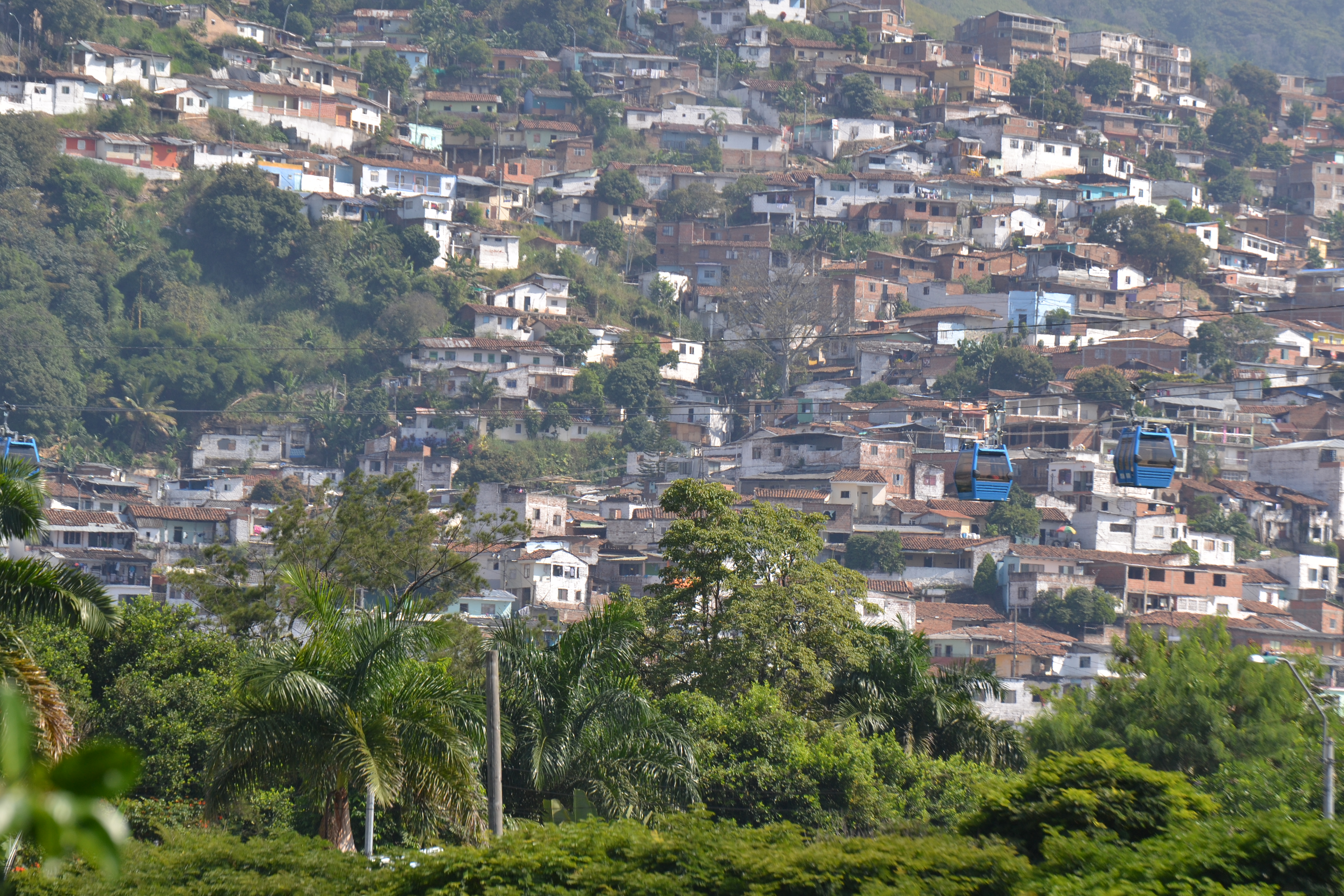 RFV001061.jpg