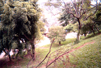 050-9.jpg